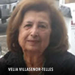 VELIA VILLASENOR TELLES